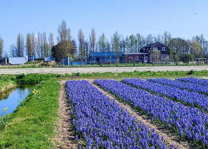 Het Dijkstuk Holiday home Noordwijkerhout