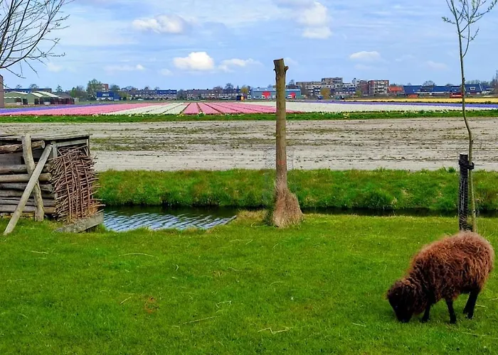 Casa de Férias Het Dijkstuk *