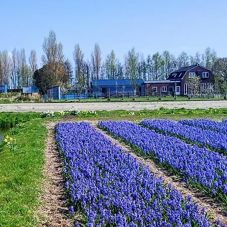 Het Dijkstuk Holiday home Noordwijkerhout
