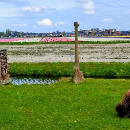 Holiday home Het Dijkstuk *