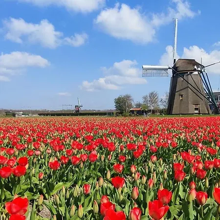 Holiday home Het Dijkstuk Noordwijkerhout
