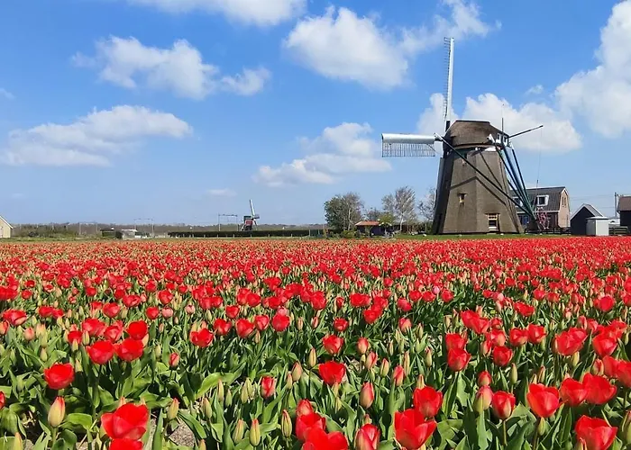 Ferienhaus Het Dijkstuk Noordwijkerhout